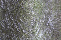 Ardelve fibreglass roof work